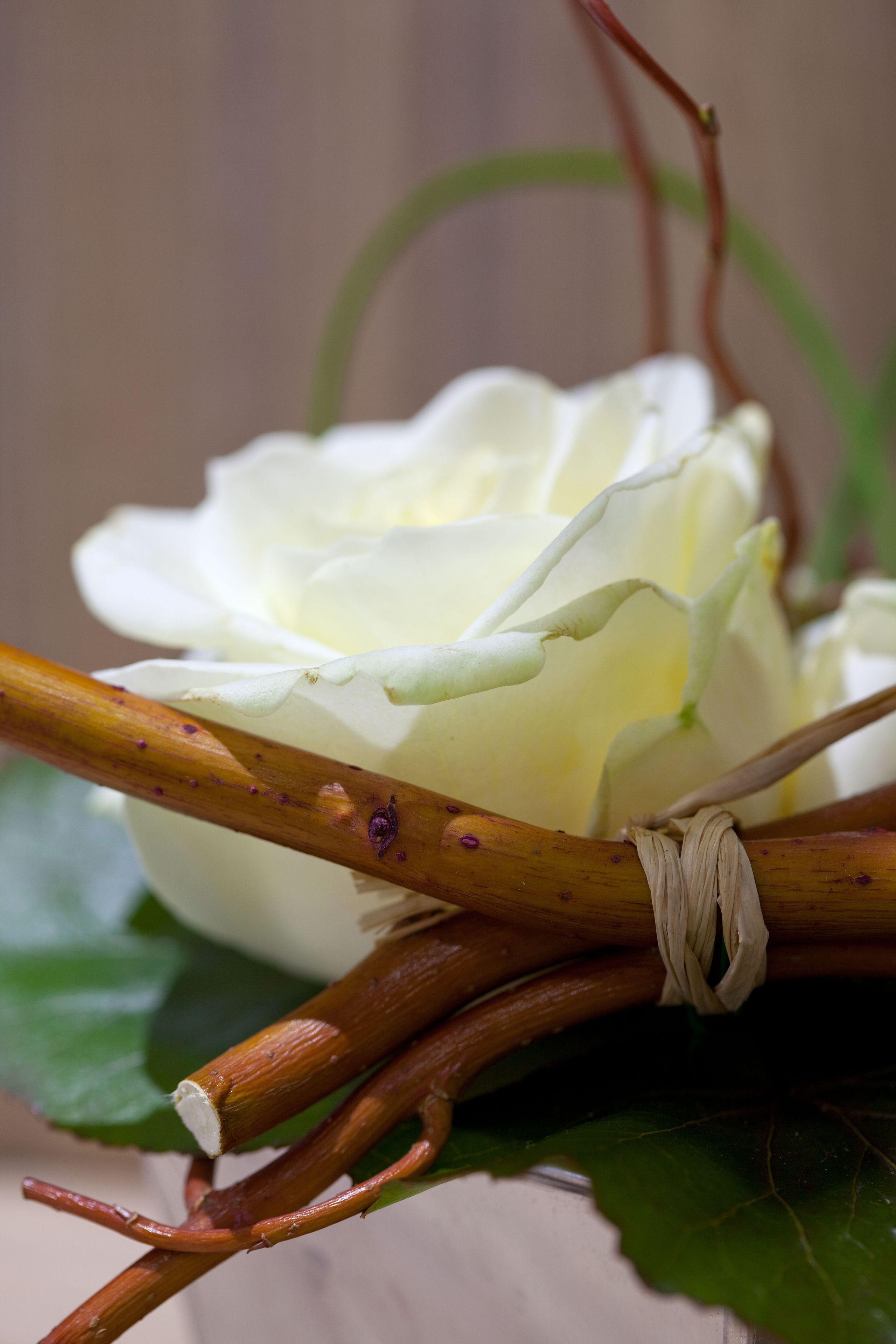 Serotel Opera 4* Parigi